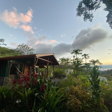 Hotel Chorotega Cabina Monteverde Exteriér fotografie