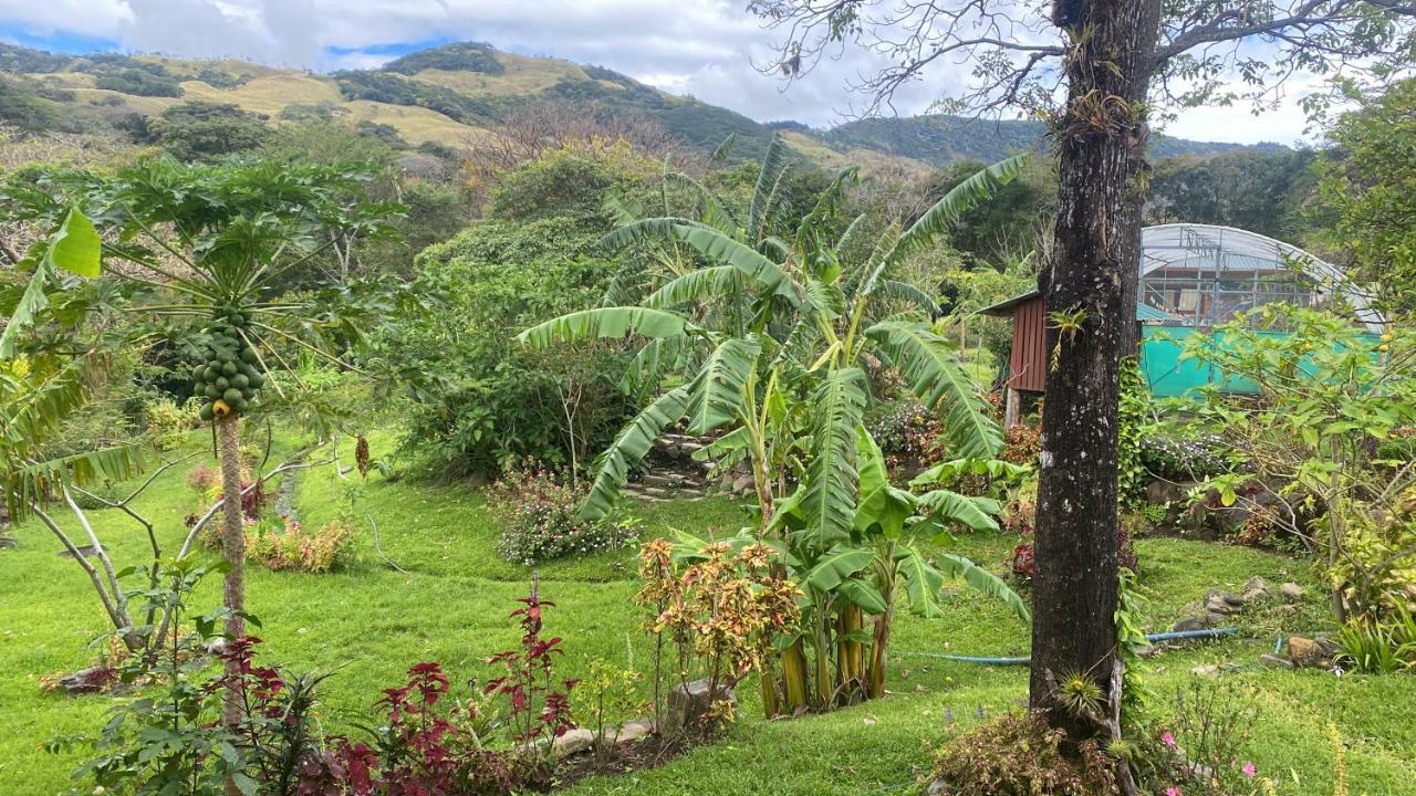 Hotel Chorotega Cabina Monteverde Exteriér fotografie
