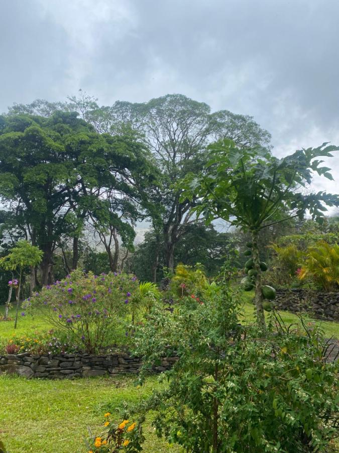 Hotel Chorotega Cabina Monteverde Exteriér fotografie